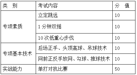 羽毛球测试内容及分值.png